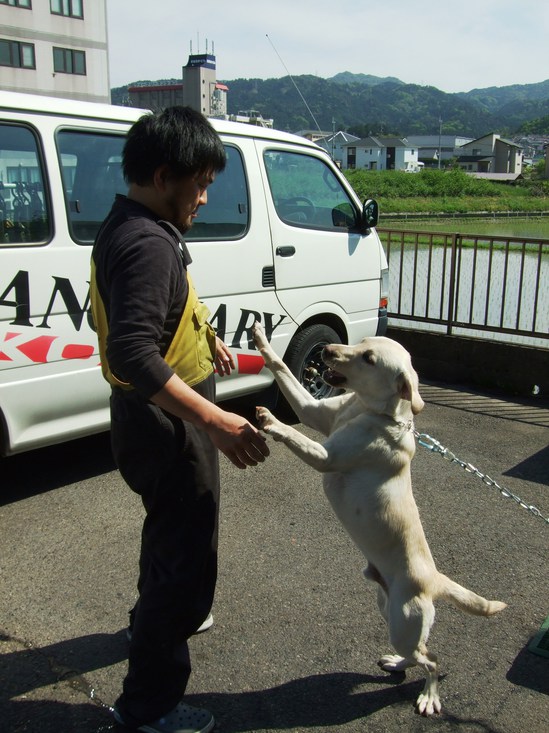 5月12日 (7).JPG
