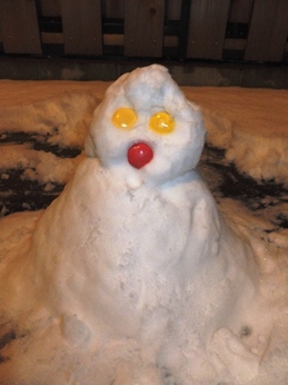2014年1月12日 (16).jpg