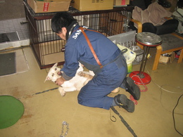 3月15日 (14).JPG