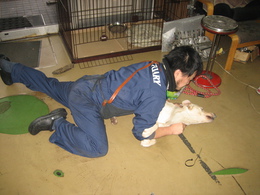 3月15日 (15).JPG