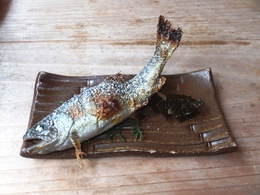 2014年5月5日 (20).jpg