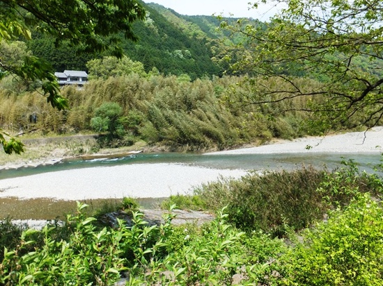 2014年5月5日 (26).jpg
