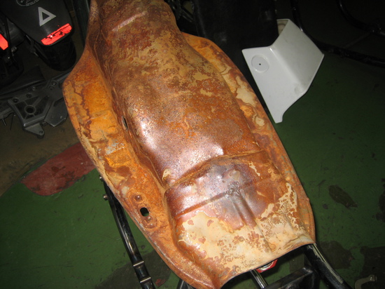子猫と板金 (4).JPG