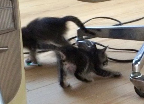 2014年6月22日 (1).jpg