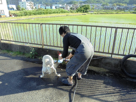 2015年6月1日 (1).JPG
