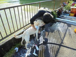 2015年6月1日 (3).JPG