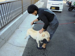 2015年6月1日 (5).JPG