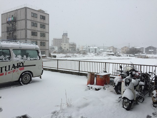 2017年1月15日 (1).JPG